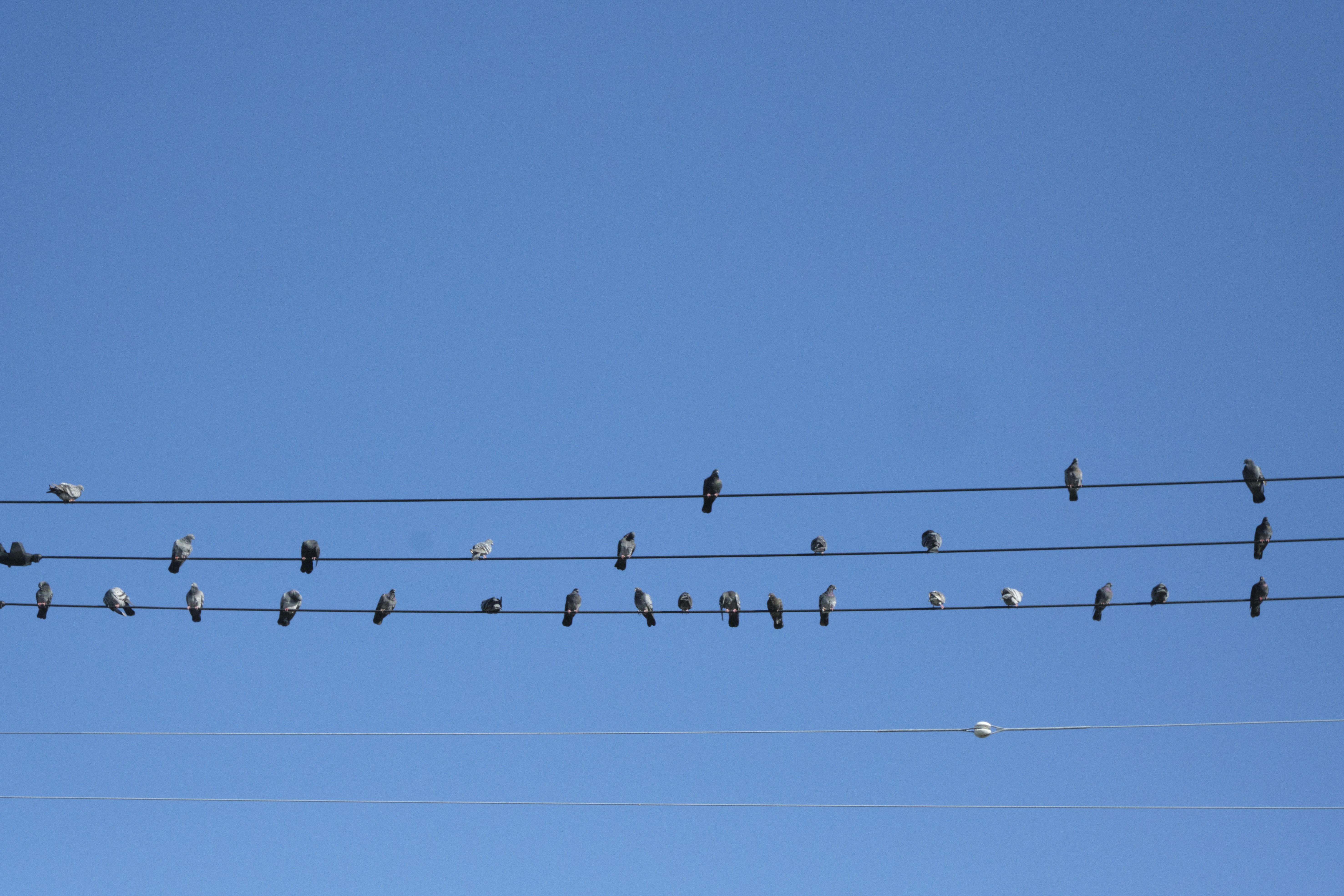 Photo by rebeccaclarke