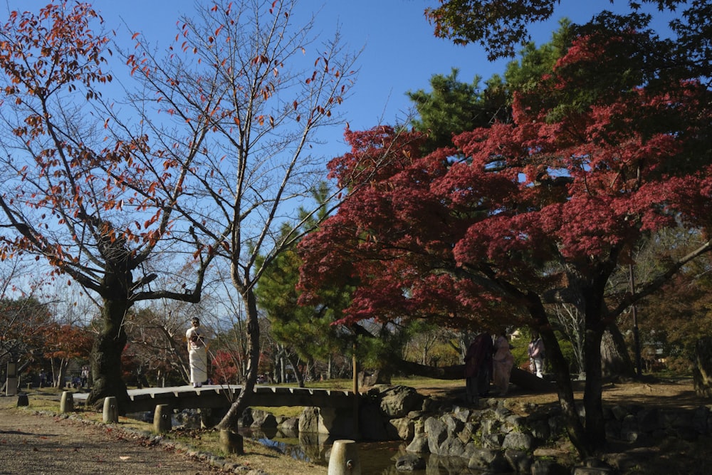 a person standing on a bridge in a park