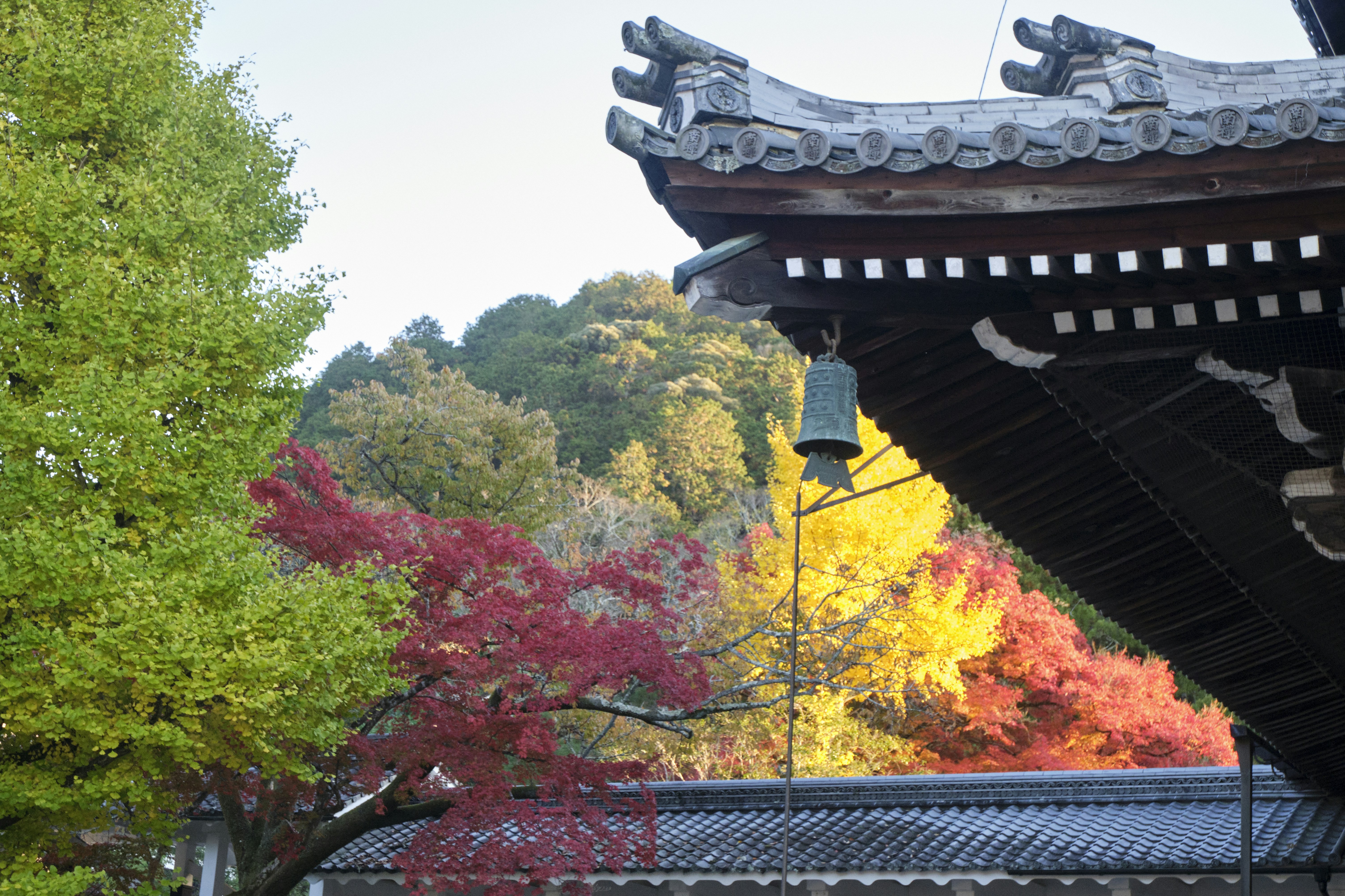 Photo by rebeccaclarke