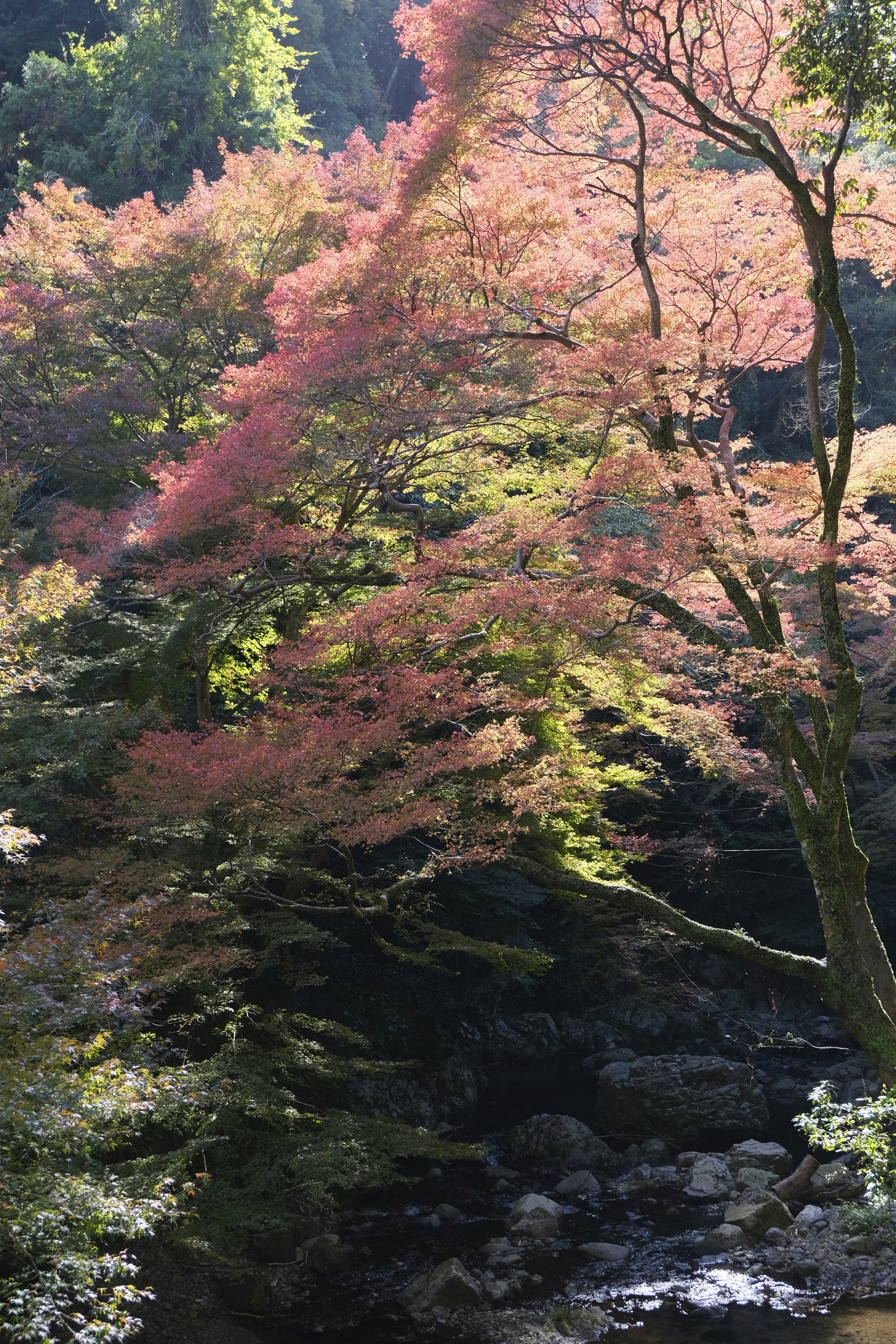 Photo by rebeccaclarke