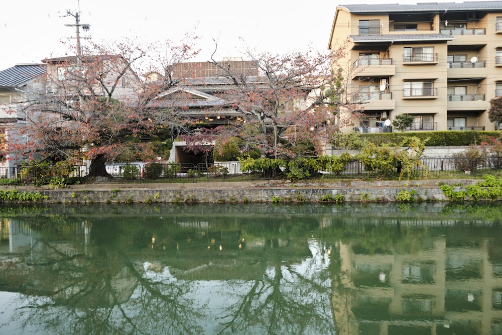 a body of water with buildings in the background