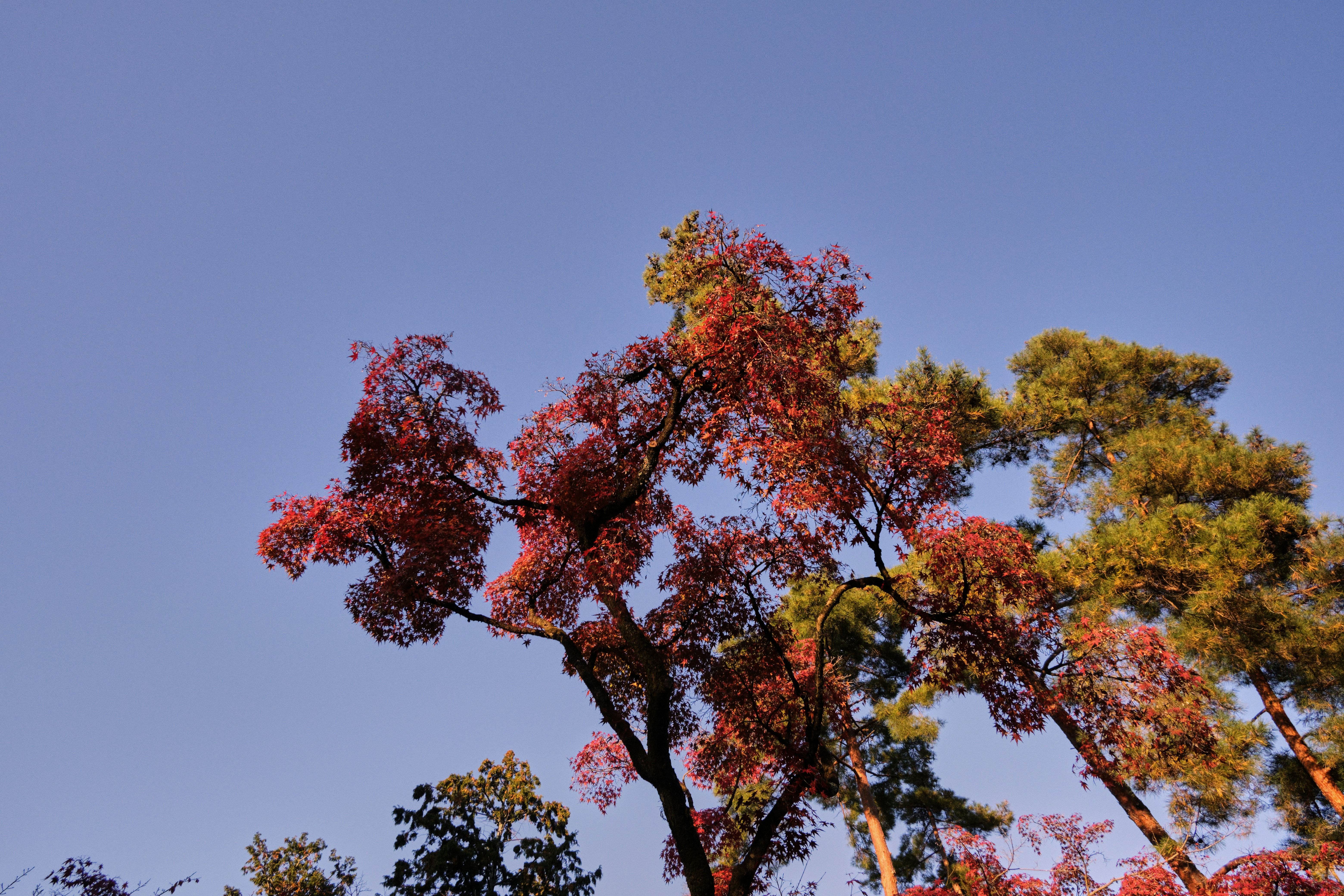 Photo by rebeccaclarke