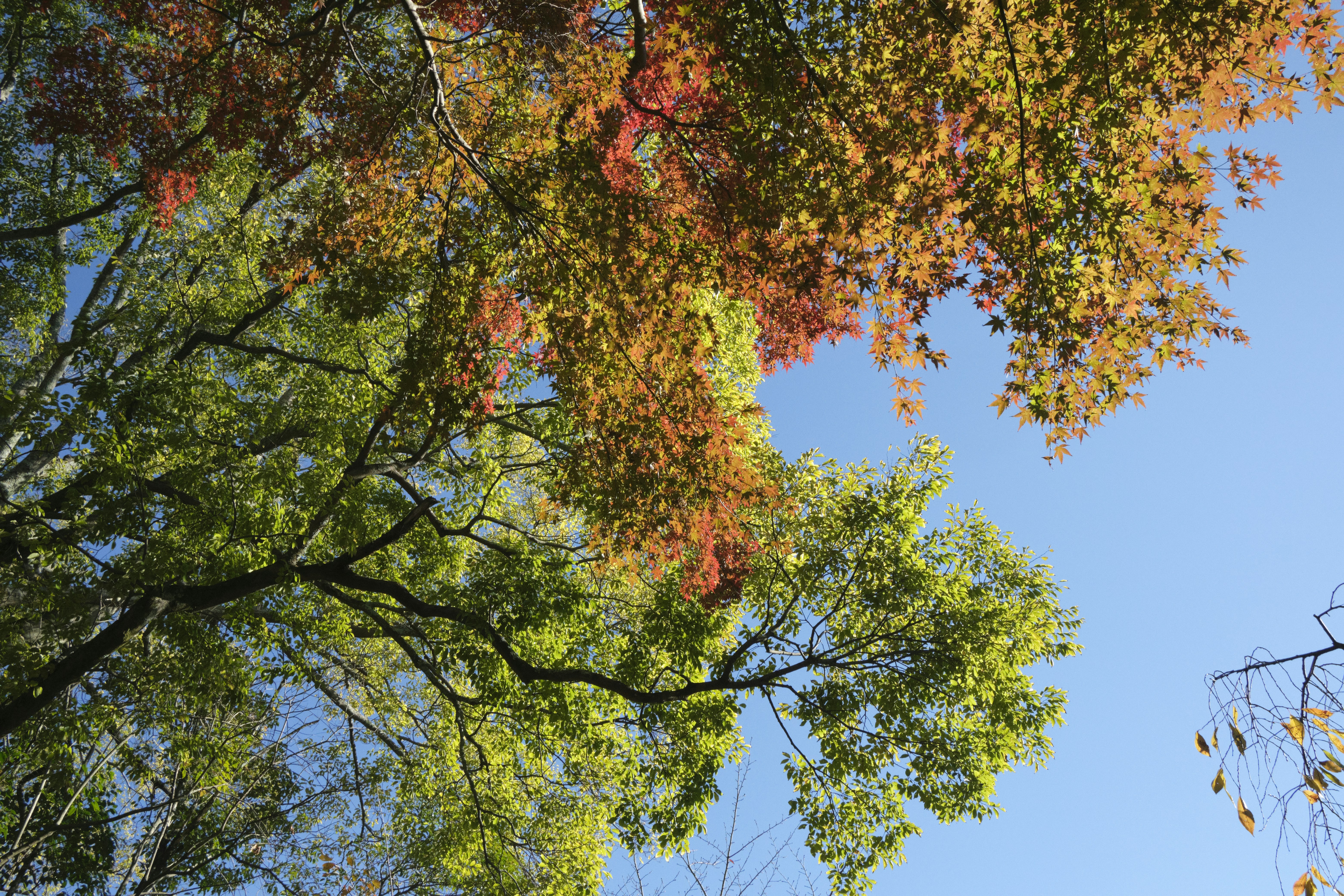 Photo by rebeccaclarke