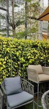 A garden setting with outdoor furniture, including a grey cushioned chair and a beige high chair. The scene is surrounded by lush green foliage and yellow-tipped leaves, with a wire trellis and a tree in the background. Sunlight filters through the area, creating a calm, natural ambiance.