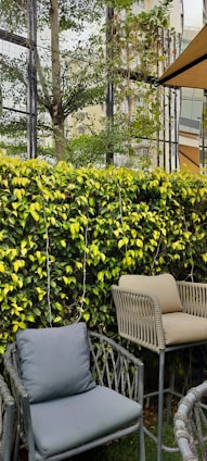 A garden setting with outdoor furniture, including a grey cushioned chair and a beige high chair. The scene is surrounded by lush green foliage and yellow-tipped leaves, with a wire trellis and a tree in the background. Sunlight filters through the area, creating a calm, natural ambiance.