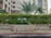 A well-maintained hedge with lush green foliage stands in front of a modern multi-story building. Palm trees rise above the hedge, adding a tropical vibe to the urban setting. The building's facade is made of glass and concrete, and several windows reflect the clear sky.