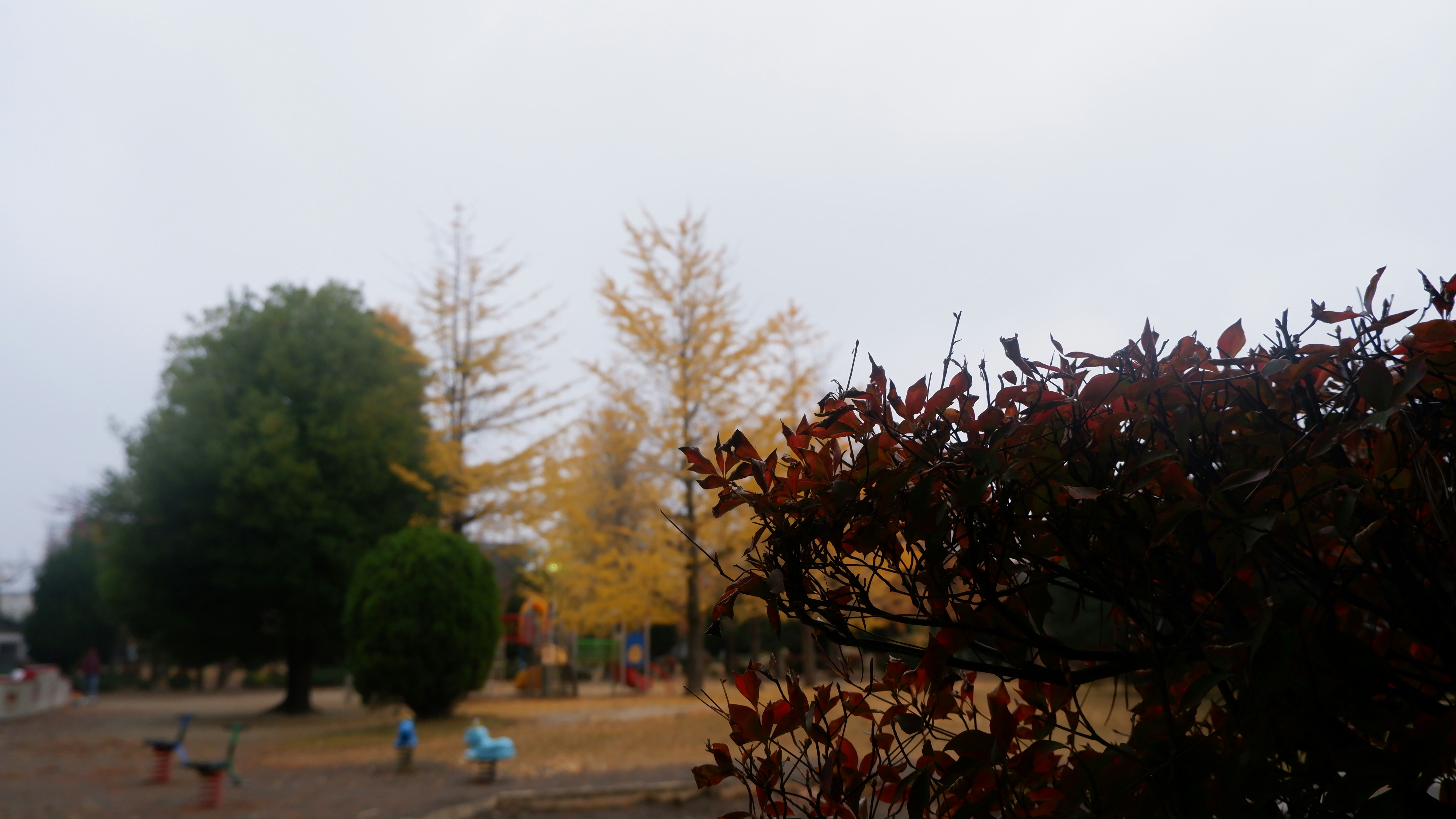 Photo by hungba