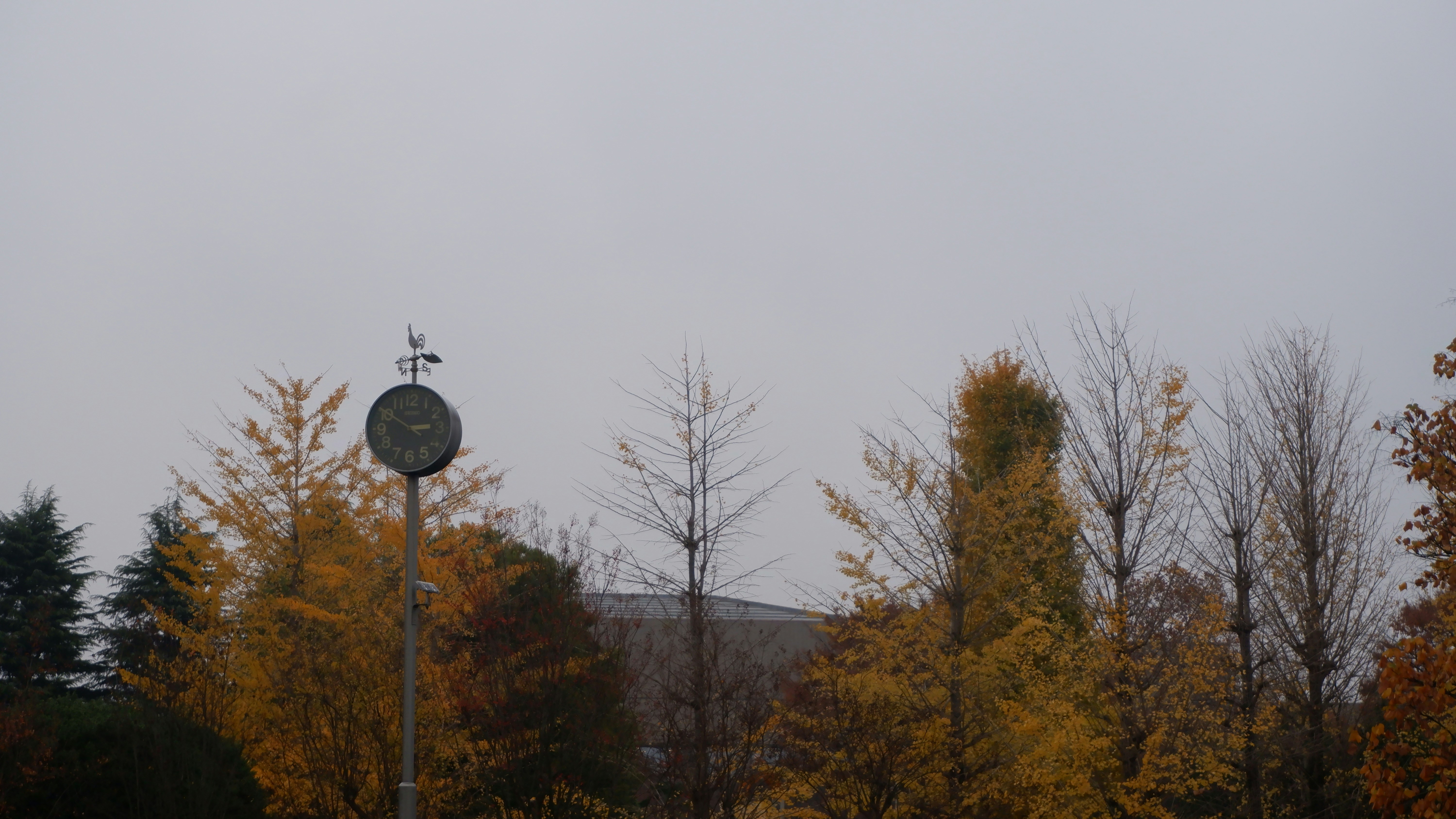 Photo by hungba