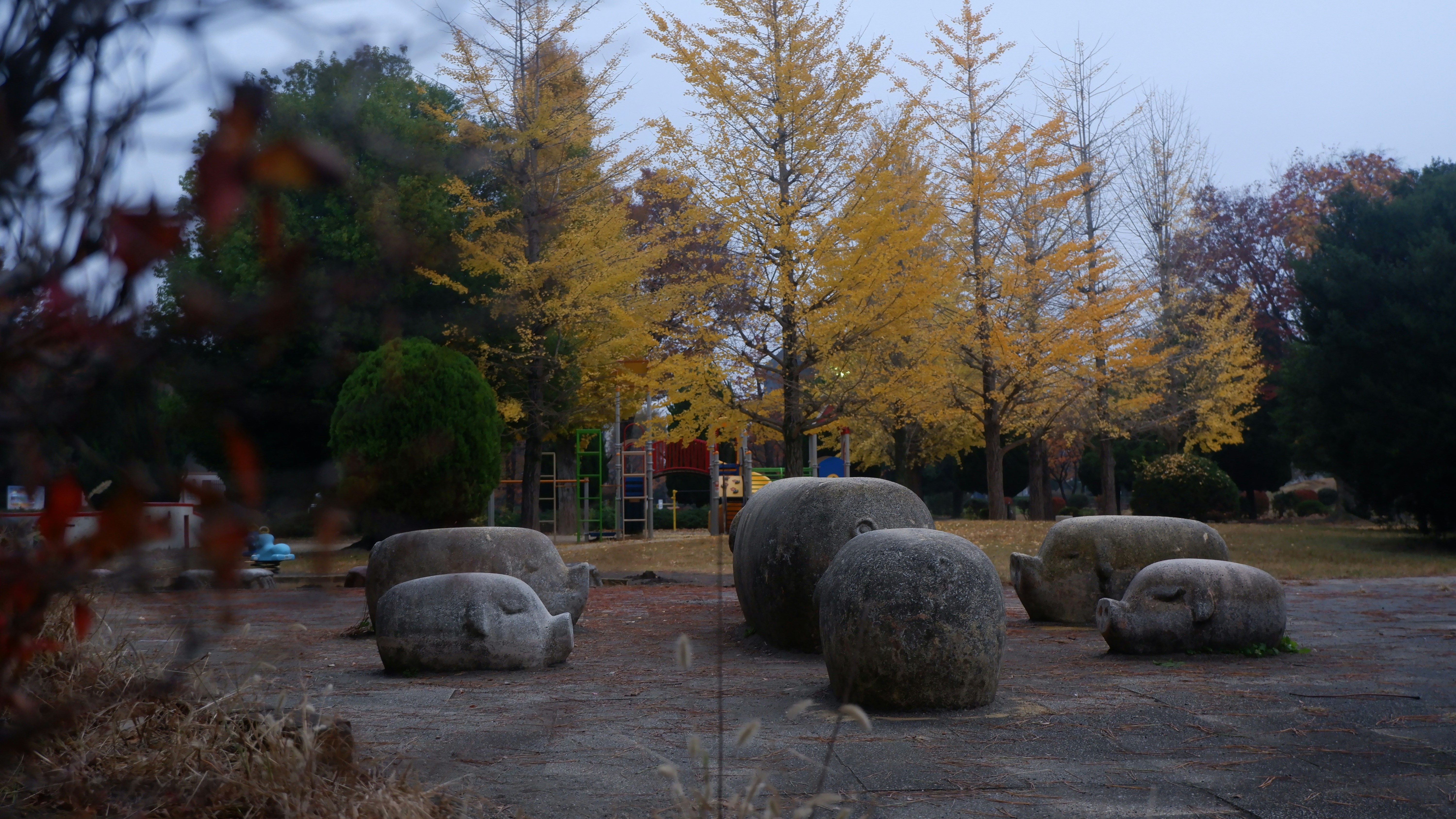 a group of rocks sitting on top of a cement field