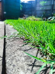 Close-up view of green grass growing along the edge of a concrete path in a garden. A large green water tank is visible in the background, along with a fence and some vegetation. The image captures a clear, sunny day with shadows cast on the ground.