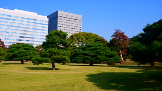 A serene park landscape features lush green grass and a variety of mature trees with dense foliage. In the background, modern office buildings with reflective windows rise against a clear blue sky, creating a contrast between nature and urban architecture.