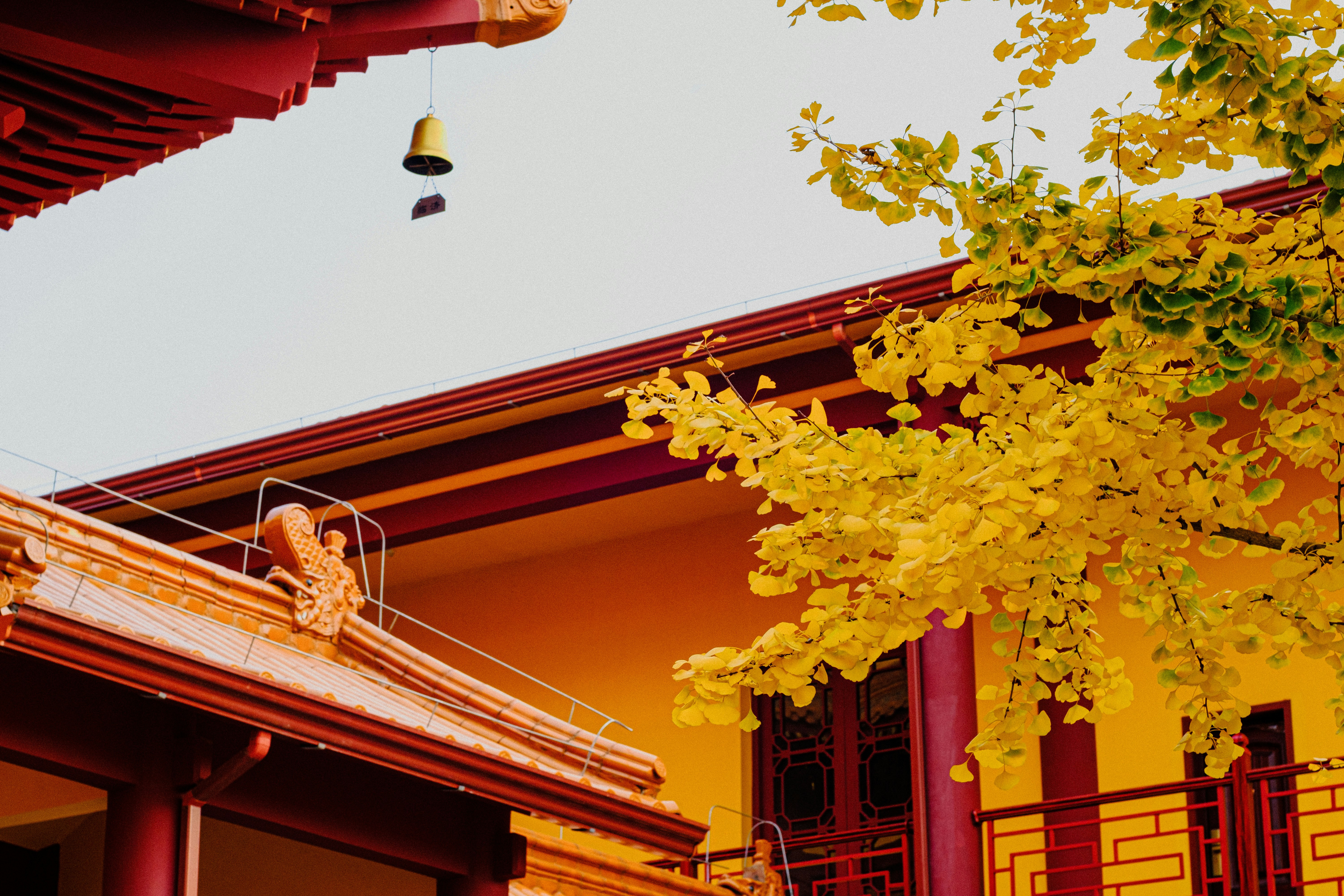 Photo by xiexianghua