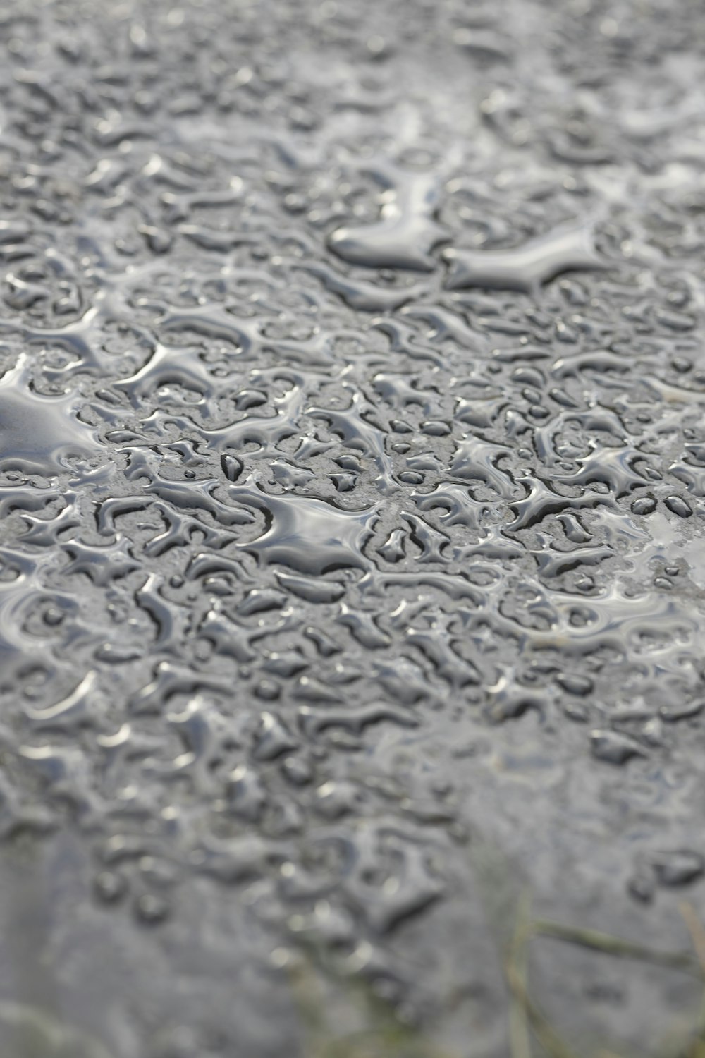 a close up of water droplets on a surface