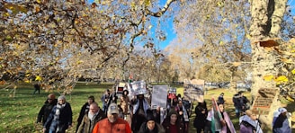 Volunteers handing out flyers about democracy education in a neighborhood park.