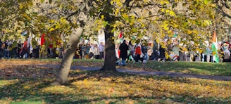 A group of activists planting trees in an urban park with bright orange banners waving in the background.