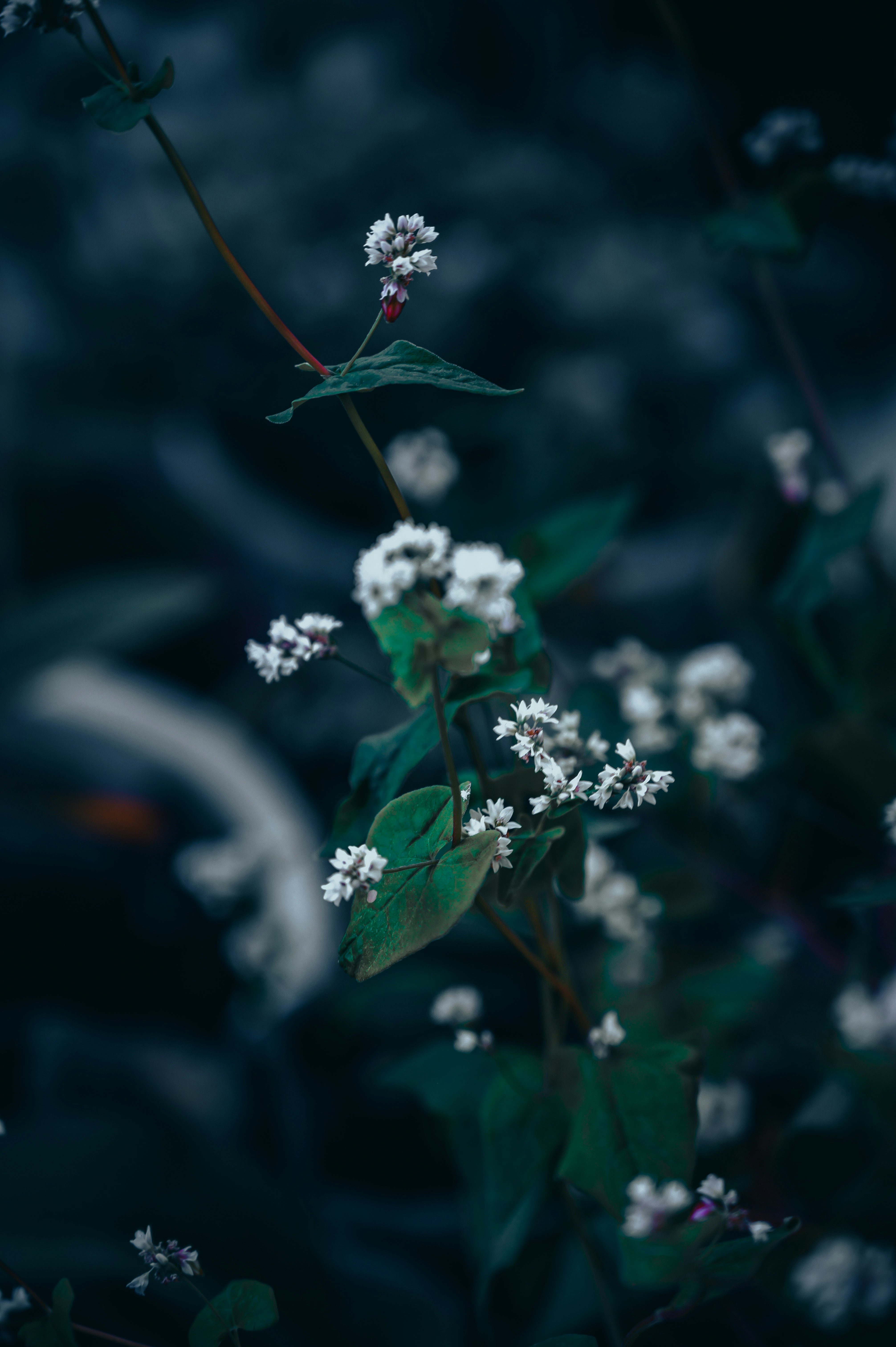 Photo by manhterry93