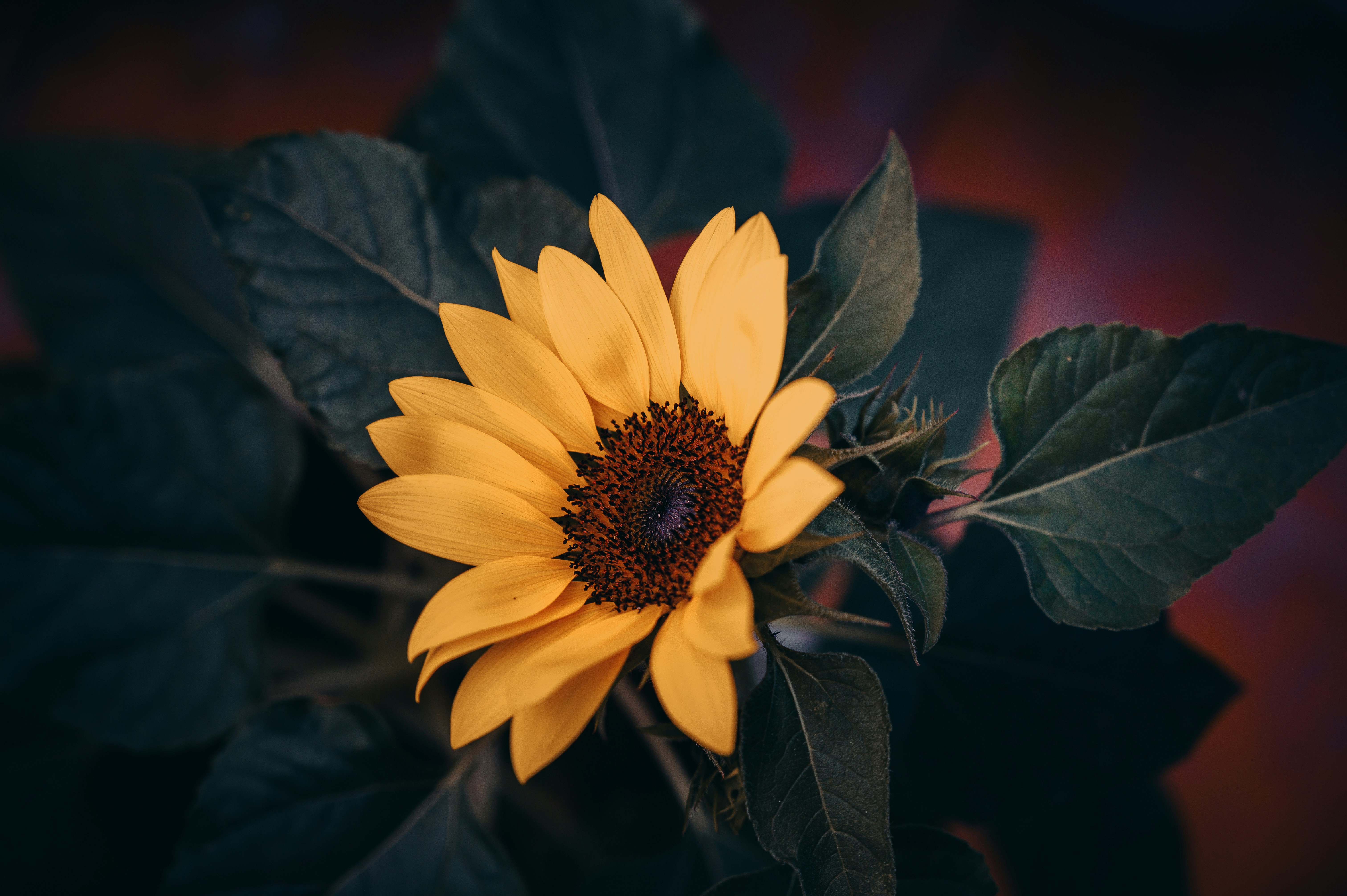 Photo by manhterry93