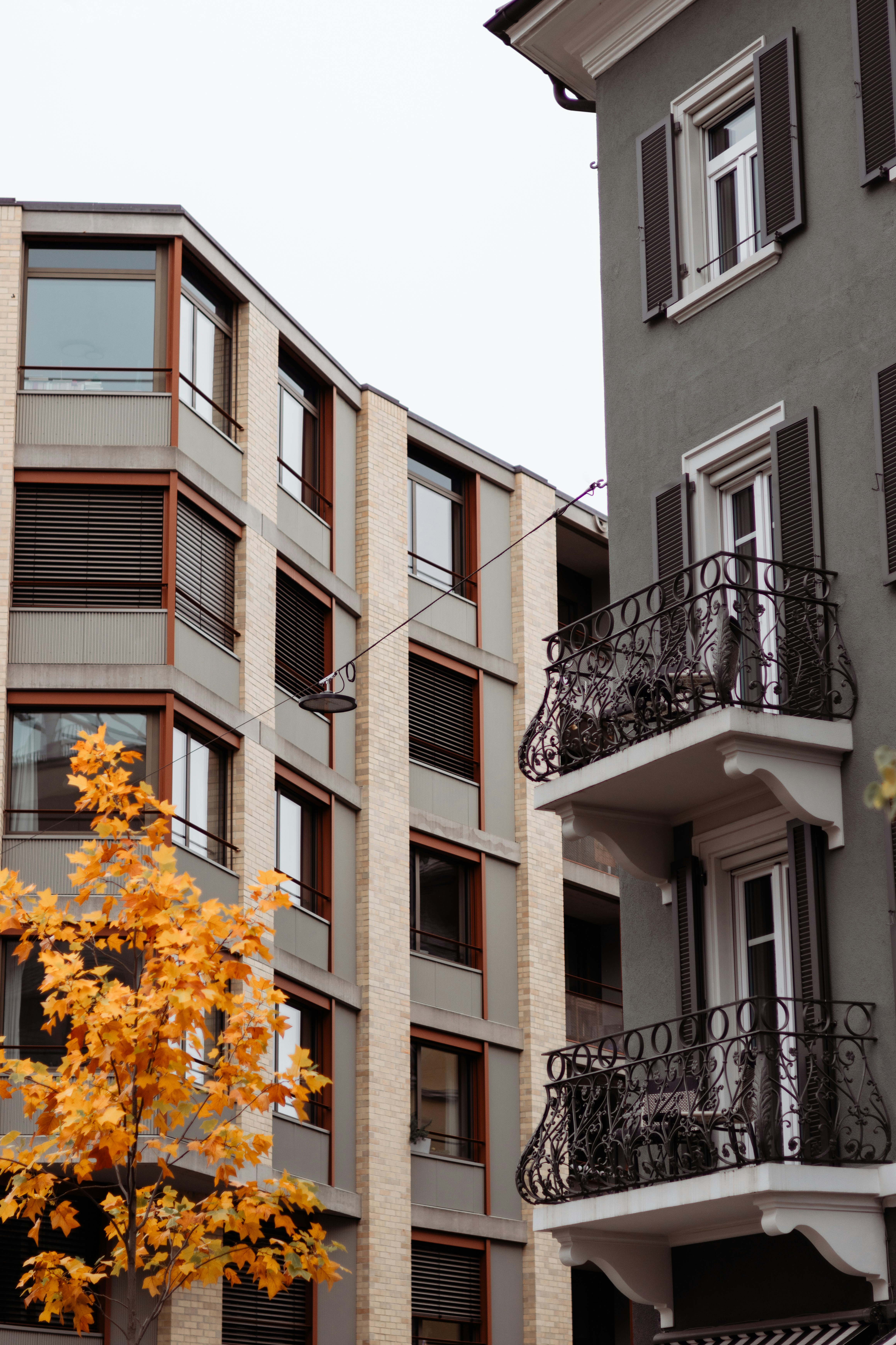 Photo by janisringli