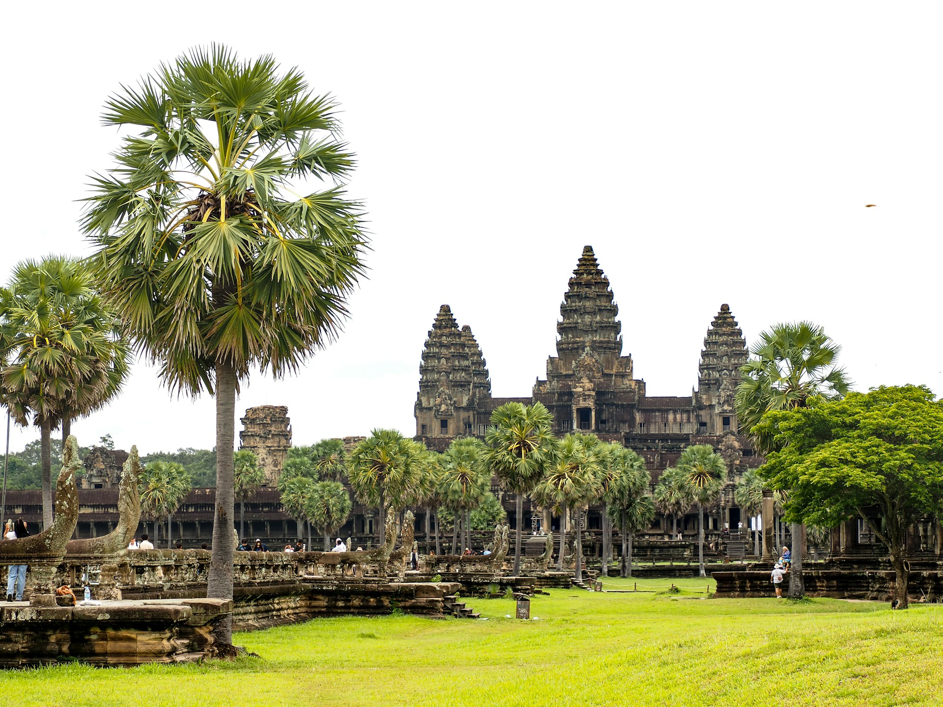 a large building with a lot of trees in front of it