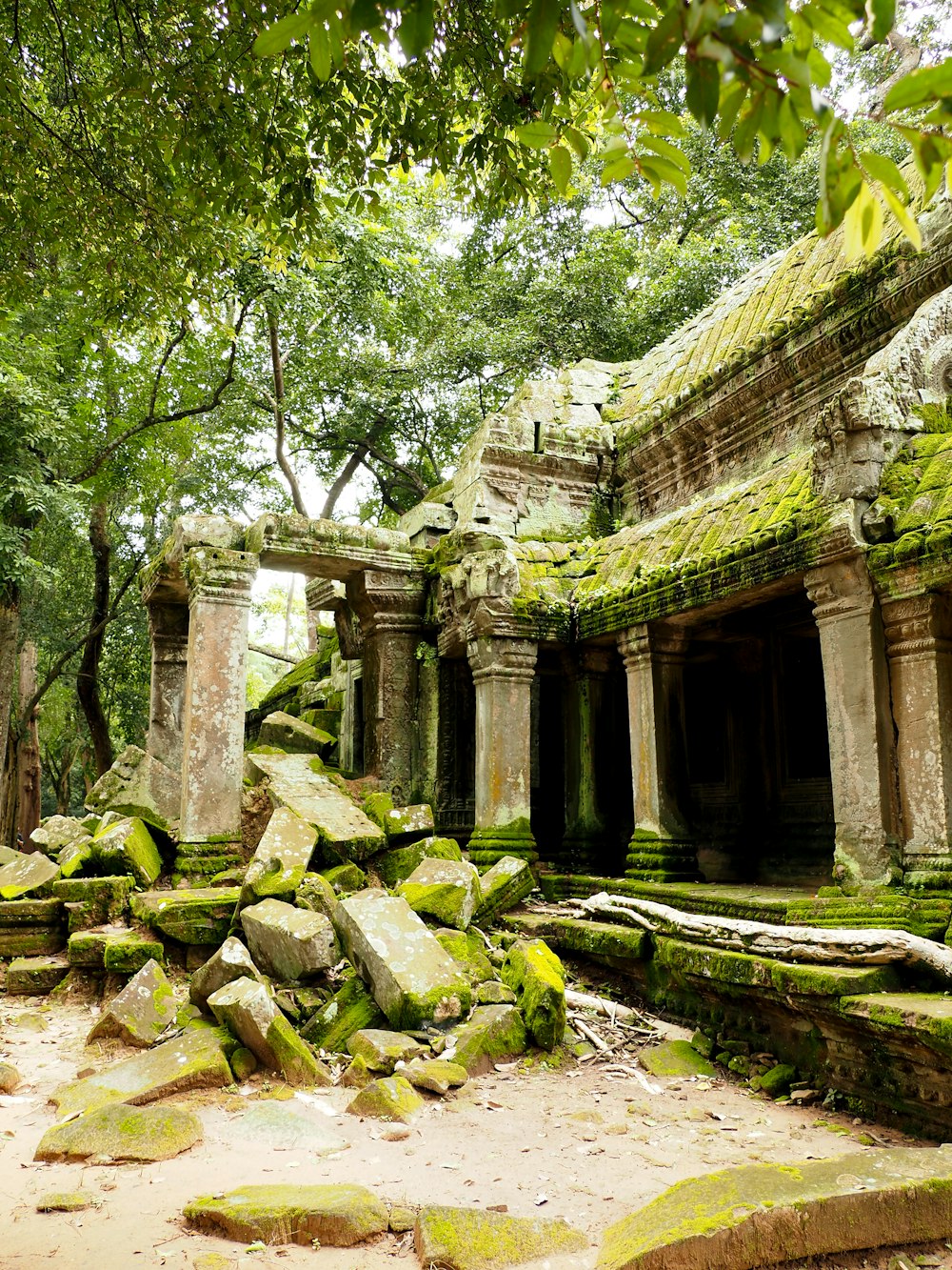 the ruins of a temple in a jungle