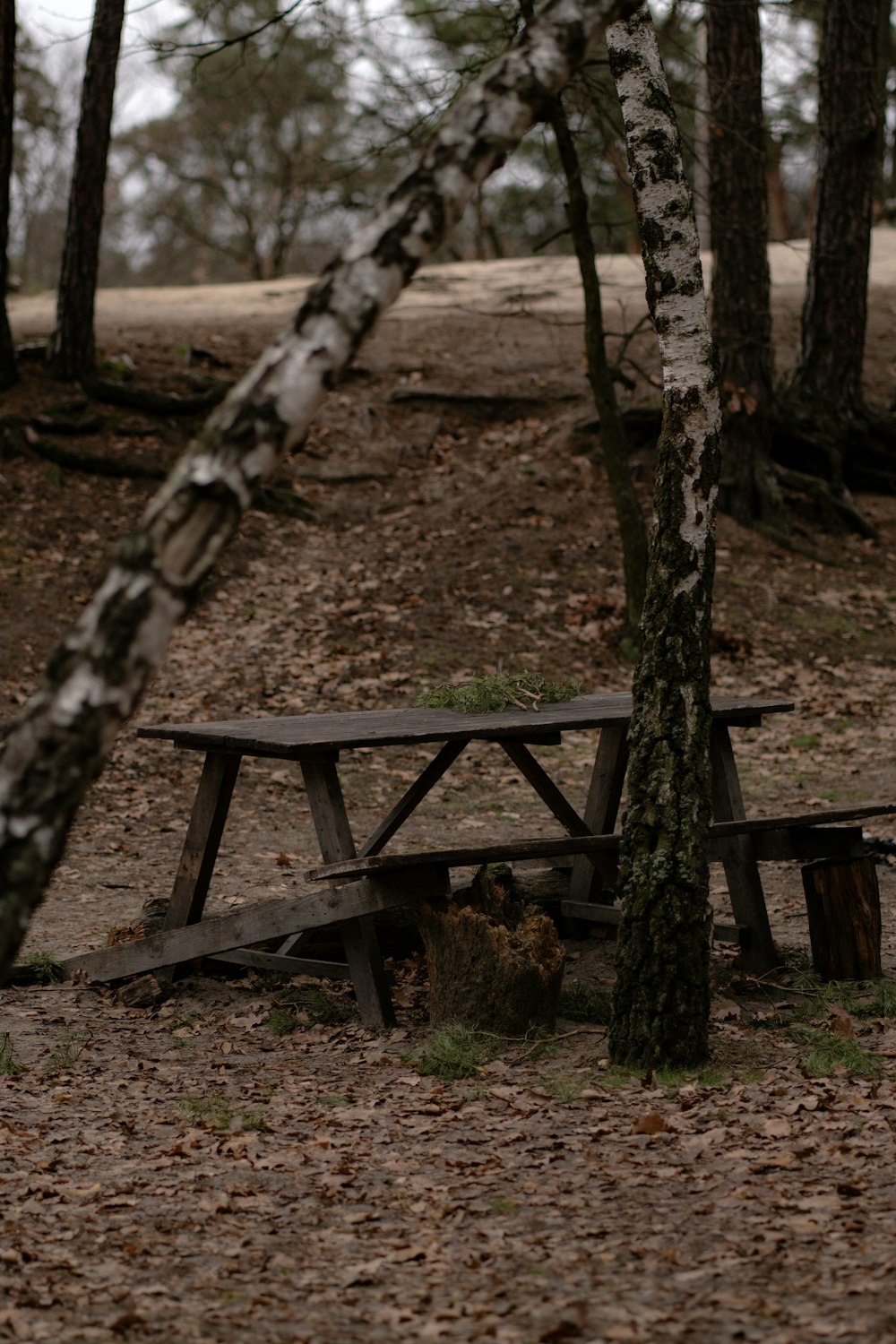 a picnic table in the middle of a forest