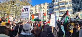 A large group of people gathered in a city square holding various signs and flags. Many flags have red, white, green, and black colors. The background features tall buildings and some trees under a clear blue sky. The crowd appears to be participating in a demonstration or protest, with messages regarding political and humanitarian issues visible on the signs.