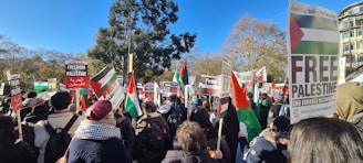 A large crowd of people gather outdoors, holding banners and flags with messages of solidarity and freedom for Palestine. The setting is a park-like area with trees and clear blue skies. The crowd is diverse, with many participants wearing warm clothing, indicating a cool weather. The atmosphere appears peaceful, with numerous signs advocating for Palestine.