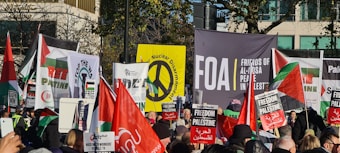 A large group of people are participating in a protest. They are holding various signs and banners advocating for Palestine, nuclear disarmament, and peace. Red, black, white, and green colors are prominent on the flags and signs. A diversity of individuals is present within the crowd, some waving flags and others holding placards with text in English and Arabic.