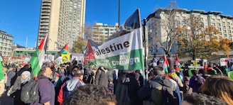 A large group of people gathered outdoors holding flags and signs. There are buildings and trees in the background, with a clear blue sky overhead. The signs and flags prominently feature the colors red, green, black, and white, and some have text related to a campaign or cause.