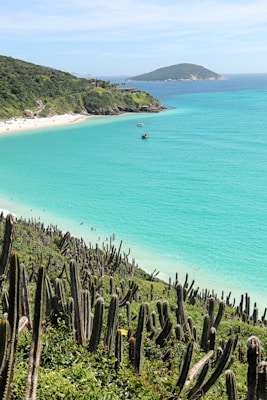 A scenic coastal landscape features turquoise waters and a sandy beach bordered by lush green hills. Cacti dot the foreground while a few small boats are floating on the water. A distant hill or island is visible on the horizon under a clear blue sky.