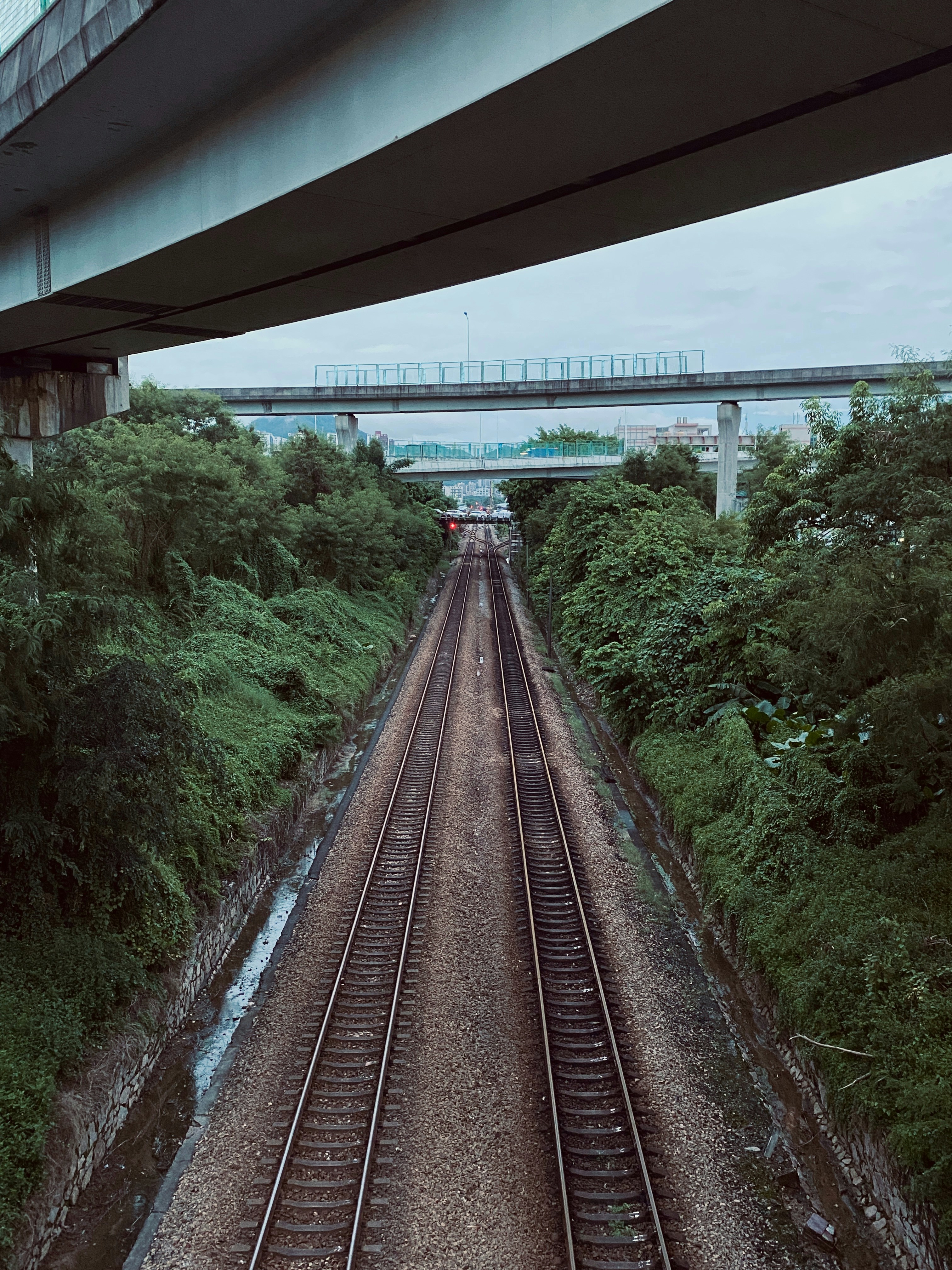 Photo by ytj2847