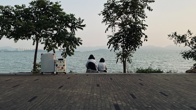 A tranquil scene by a waterfront, featuring two people sitting together on a paved area surrounded by trees. Their backs are turned toward the camera, and they are looking out over the water. There is a suitcase nearby, adorned with stickers. The distant skyline and mountains are visible under a clear sky.