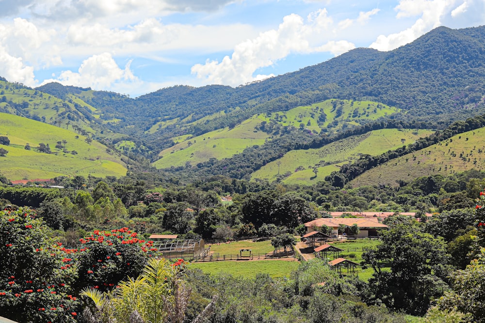 a lush green hillside covered in lots of trees