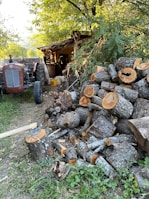 A red tractor is parked beside a large pile of chopped firewood. An axe is stuck in a tree stump in the foreground. A rustic wooden shed is in the background, partially covered with green trees and bushes.