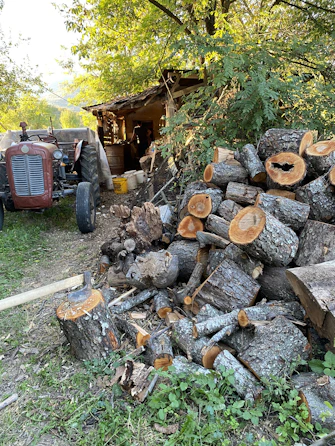 Pile of branches and logs in need to be removed