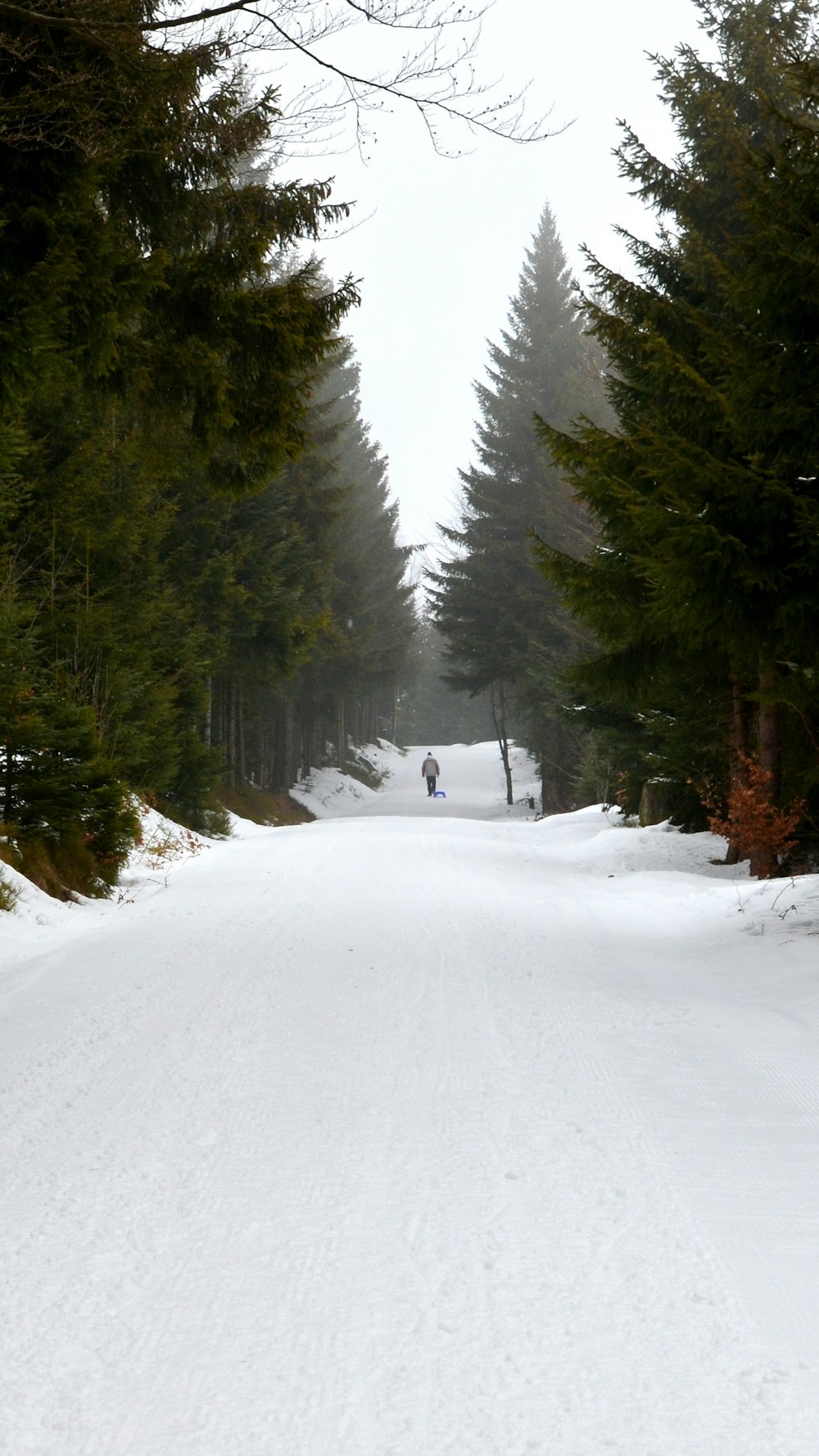 a person riding skis down a snow covered road