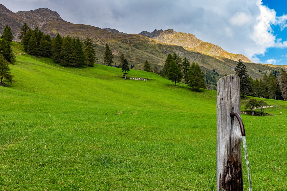a wooden fence in a grassy field with mountains in the background