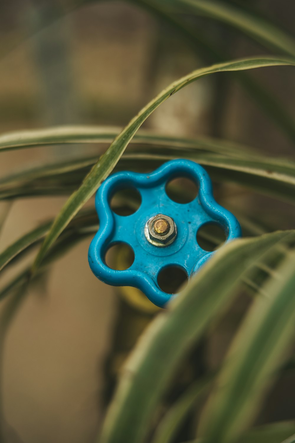 a blue object sitting on top of a green plant