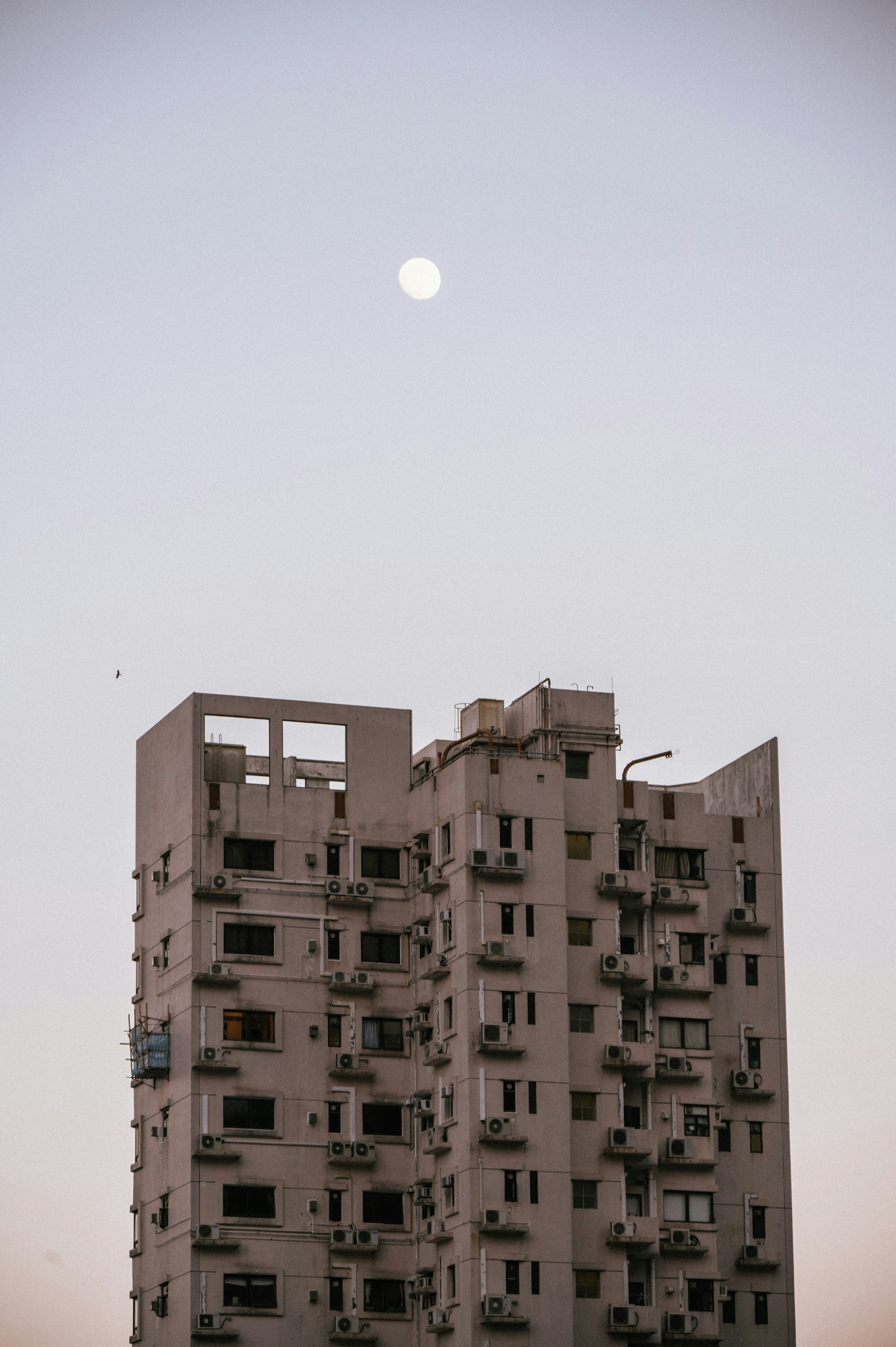 Photo by leoonliang