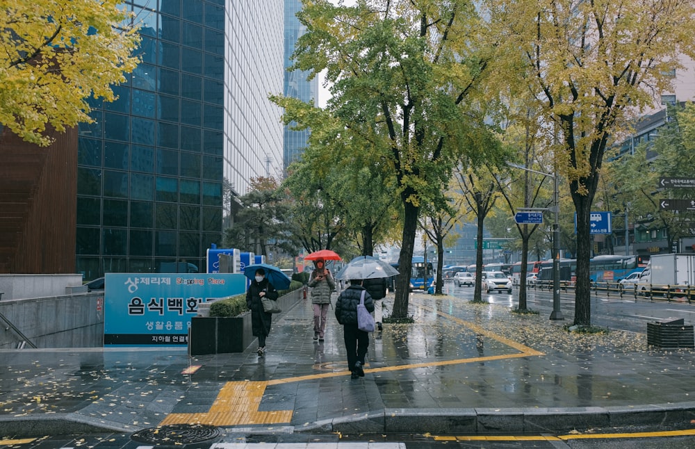 우산을 들고 거리를 걷는 한 무리의 사람들