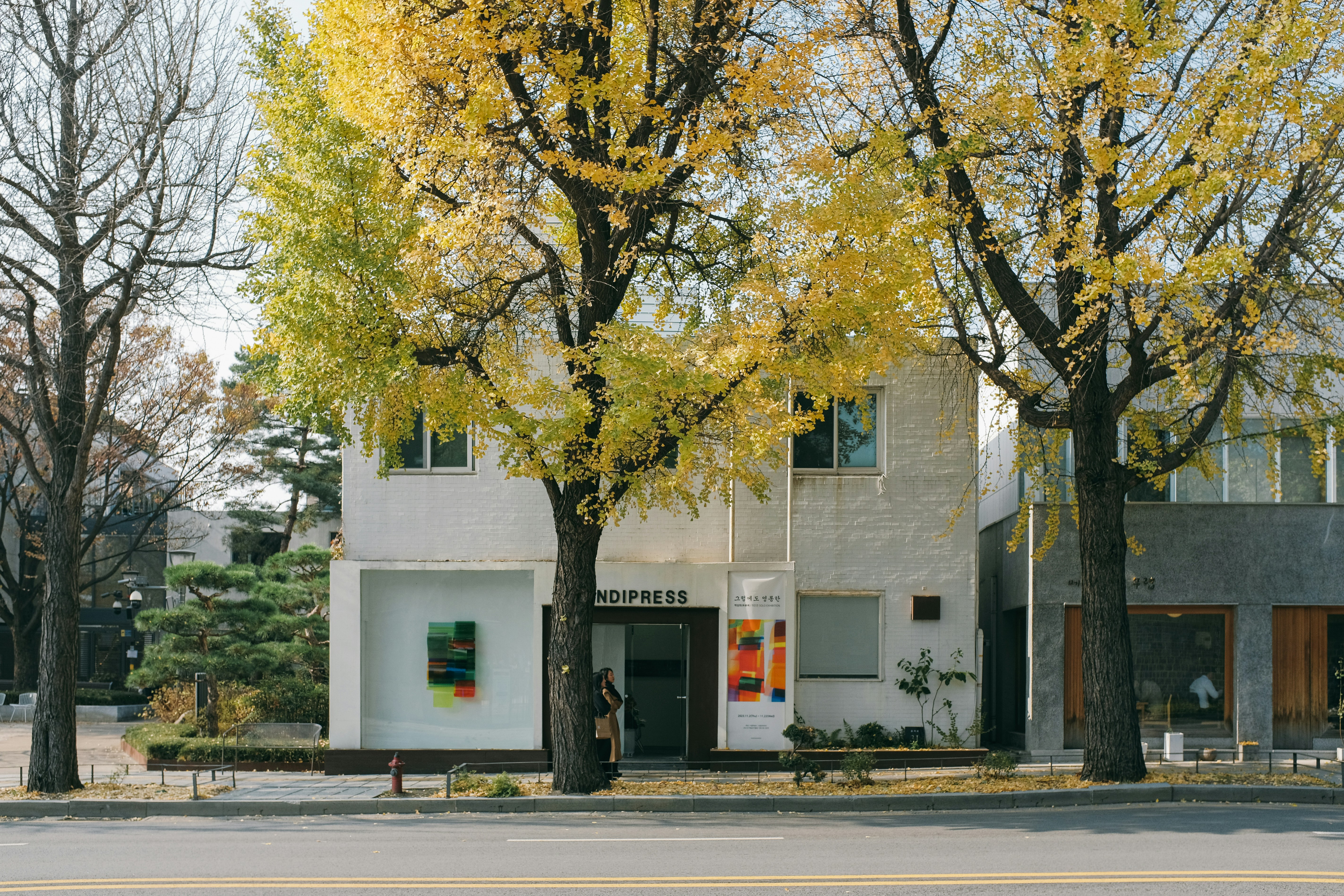 Photo by huyphan2602