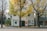 A two-story building with a white facade is partially obscured by large trees with vibrant yellow leaves. The street is wide and asphalted, with a sidewalk lined with plants and a small fire hydrant. The building's signage indicates a business named 'NDIPRESS'. The windows are adorned with colorful abstract art pieces.