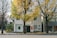 A two-story building with a white facade is partially obscured by large trees with vibrant yellow leaves. The street is wide and asphalted, with a sidewalk lined with plants and a small fire hydrant. The building's signage indicates a business named 'NDIPRESS'. The windows are adorned with colorful abstract art pieces.
