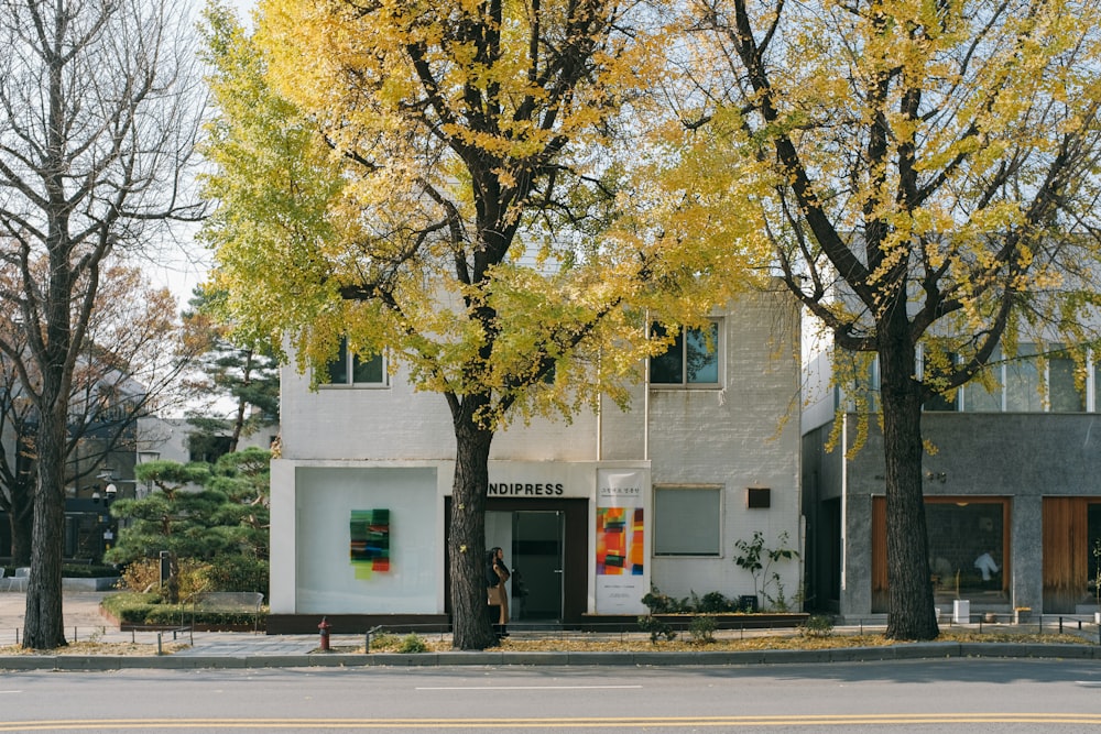 a white building with trees in front of it