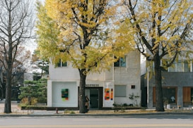 A two-story building with a white facade is partially obscured by large trees with vibrant yellow leaves. The street is wide and asphalted, with a sidewalk lined with plants and a small fire hydrant. The building's signage indicates a business named 'NDIPRESS'. The windows are adorned with colorful abstract art pieces.