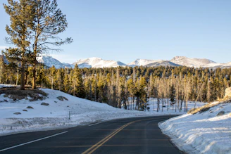 Scenic Colorado mountain road winding through pine forests under a blue sky.