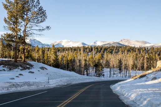 Scenic Colorado mountain road winding through pine forests under a blue sky.