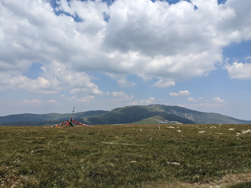 a grassy field with mountains in the background