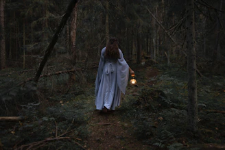 A vibrant book cover featuring a mystical forest with glowing creatures and a young hero holding a lantern.