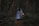 A person dressed in a flowing, light-colored cloak walks through a dimly lit forest while holding a glowing lantern. The dense forest is filled with dark green foliage and tall, slender trees. The atmosphere is mysterious and somewhat magical, as the lantern casts a warm, soft light amidst the dark surroundings.